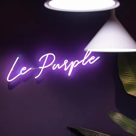 Appartement Purple Montauban